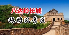 草大鸡巴视网站中国北京-八达岭长城旅游风景区