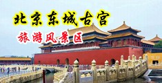 男女操逼操出白浆中国北京-东城古宫旅游风景区